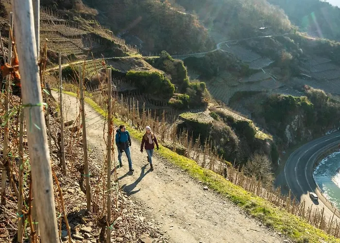 Boutique L'ahrpartement Ahr-terrasse-zentral Apartment